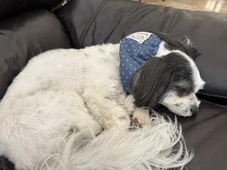 32327E90-1205-4F67-BACA-2B6492A6D1A5_1_105_c