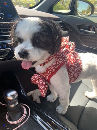 37A7D413-648E-4D8A-B9DD-A5944DF918D1_1_105_c