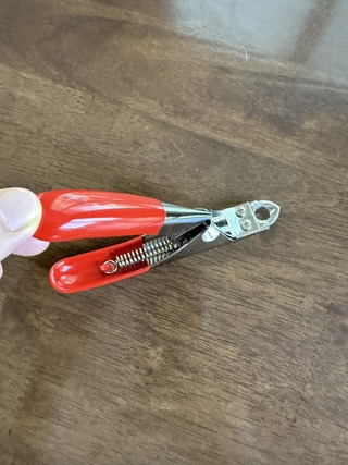 86A7418B-34B6-4D79-BBCB-371C881744D1_1_105_c