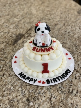 64E45194-8C56-444F-B2DB-DCE40A96C073_1_105_c