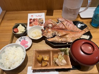 890A1552-2B96-4F3A-98F3-5677E1219604_1_105_c