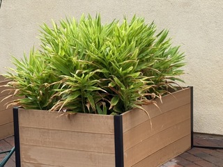 CC6A80DC-2C16-44B6-96A7-AAC546029497_1_105_c