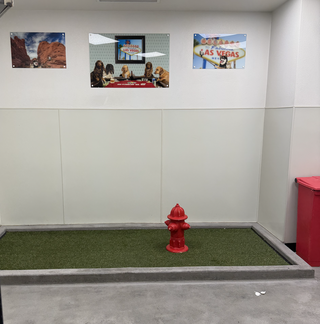 Screenshot 2025-09-22 at 9.33.07 AM