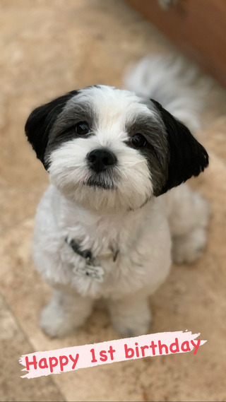 6CBA5CE5-3280-4CD5-9EF3-EF856A5570AD_1_105_c