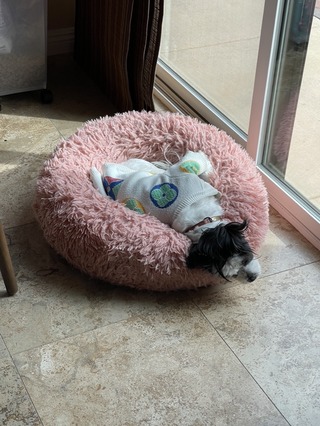 96931DAE-DC6E-47E6-829E-69A74BAEE576_1_105_c