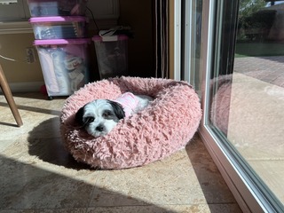 FFEA4062-A63F-4C10-B977-418200565D24_1_105_c