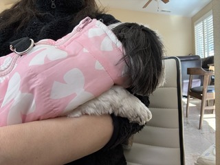 42C3DD27-24B7-4C53-8A11-5C85CC16D7AB_1_105_c