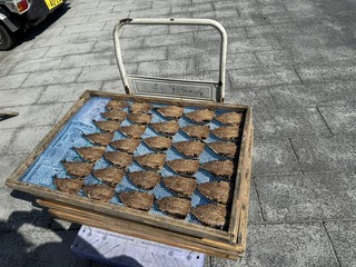 125B629D-0FDA-4716-BDC1-6F4D2B8E3095_1_105_c