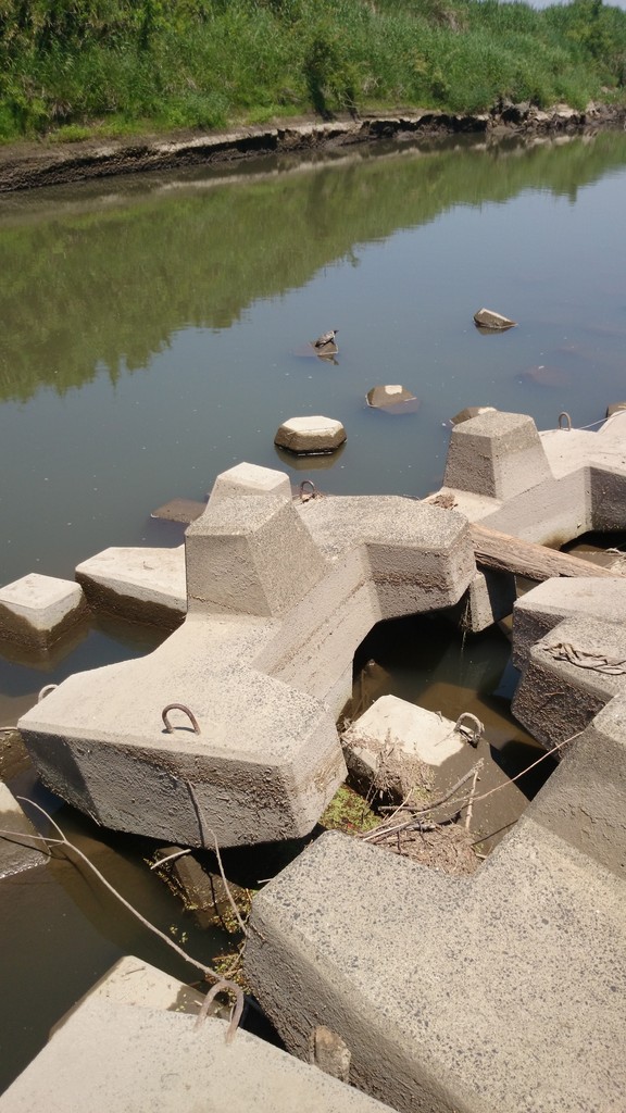 思川 関東の中心で淡水五目釣り