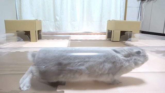 楽しいトンネル散策 うのくらし