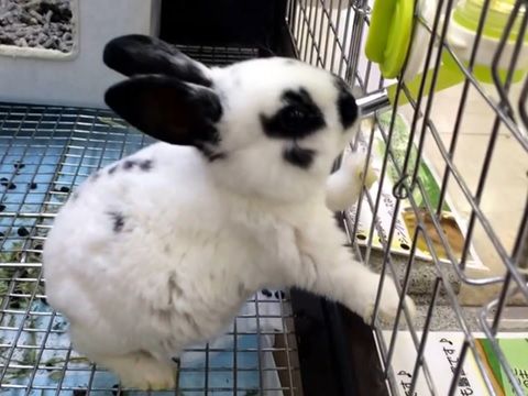 水を飲むのも慣れが必要 うのくらし