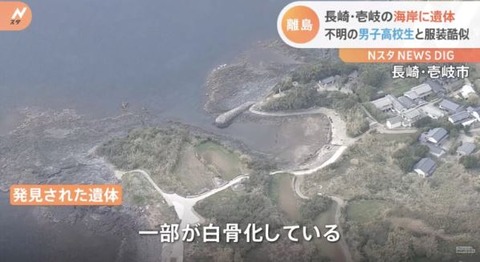 hakkotuka