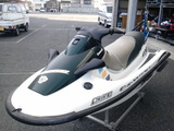 sts900 001DVC00234