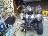 50cc¥Ð¥®¡¼½¤Íý