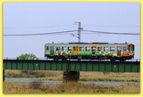 _DSF0337