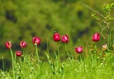 DSCN9680