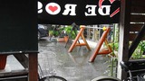 DSCN2486