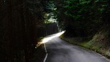 DSCN9981
