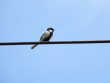 DSCN9585