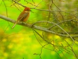 DSCN2752