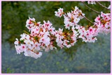 DSCF1347