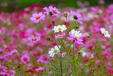 DSCN2659