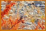 DSCN1778