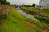 00A_5644