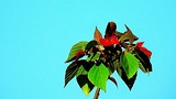 DSCN0034