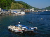DSCN8992