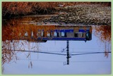 DSCF8767