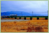 DSCF8752