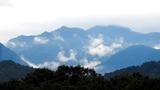 DSCN2429
