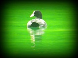 DSCN9630