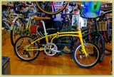 DSCF8979