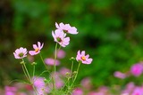 DSCN2655