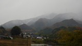IMGP7086