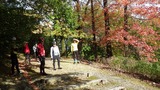 IMGP1105