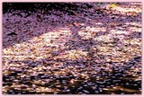 DSCF3780