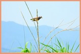 DSCN9734