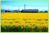 DSCF1417