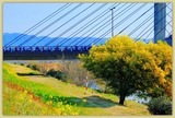 DSCF1182