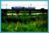 DSCF5505