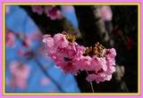 DSCF1114