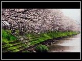 DSCN5256