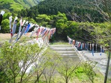 DSCN9505