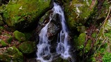 DSCN9996