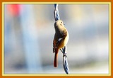 DSCN2120