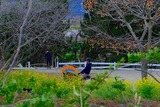 DSCF1218