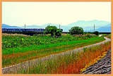 DSCN9719
